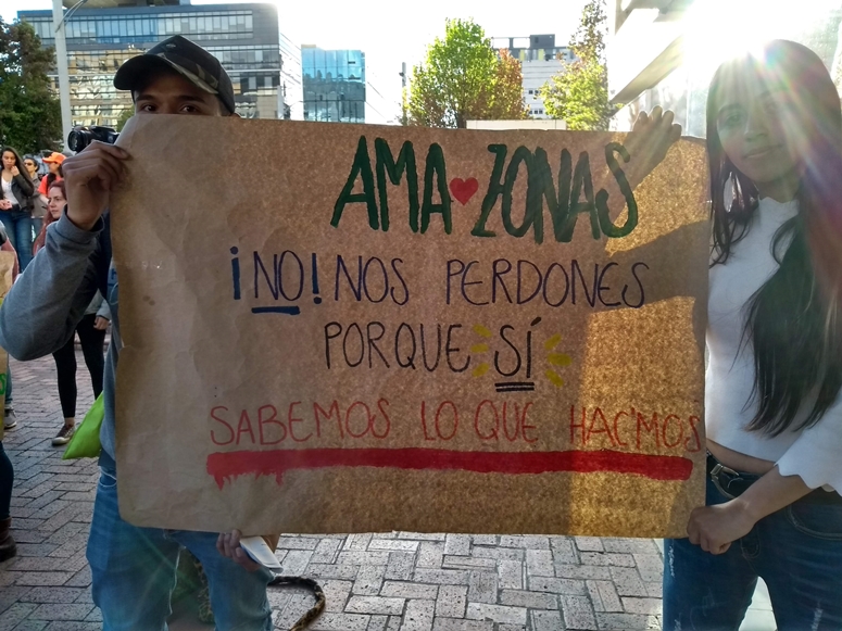 Es el neoliberalismo lo que hace arder el Amazonas – tdh-latinoamerica.de